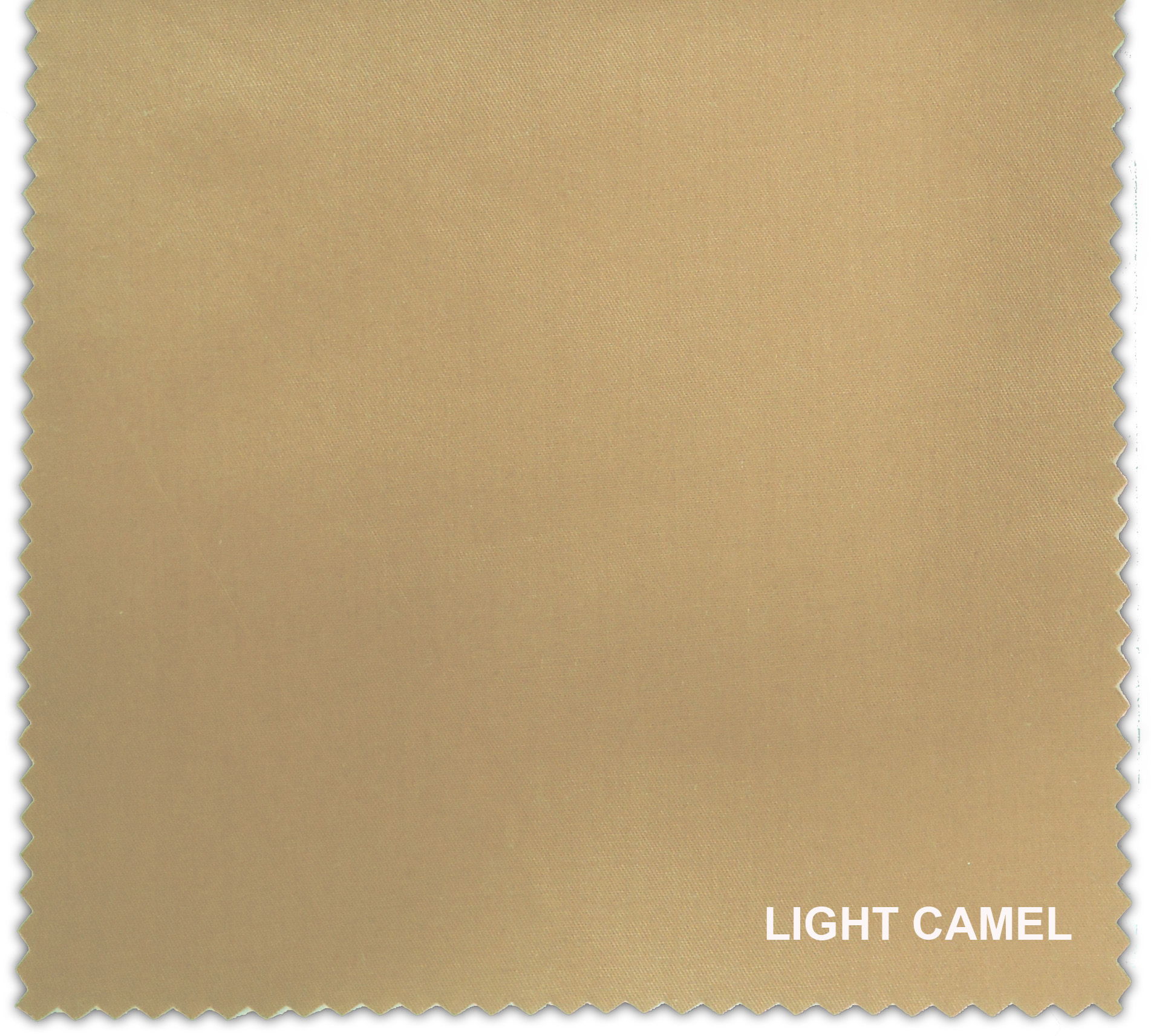 LIGHT CAMEL